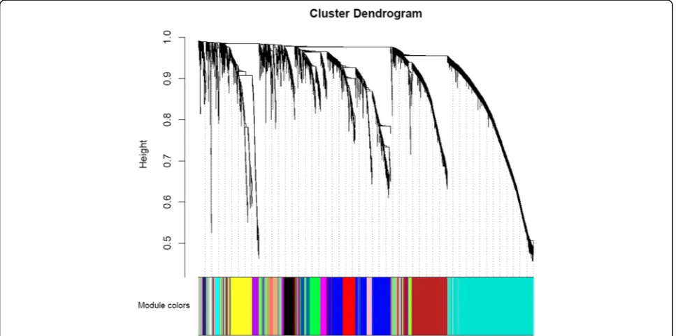 Fig. 2 Scale independence and mean connectivity analysis