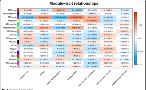 Fig. 4 Eigengene adjacency heatmap between modules