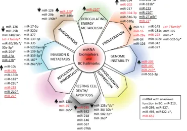 Figure 6: miRNA biomarkers and BC hallmarks. miRNAs have a role as diagnostic miRNA, prognostic miRNAs (italics), miRNAs predictive of the BC response to therapy (*), or miRNAs with multiple functions (diagnosis, prognosis, prediction of therapy outcome; u