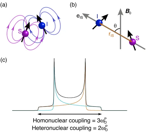 Figure 2.5: (a) Schematic diagram of dipole-dipole coupling, where magnetic fields of interacting 