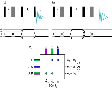 Figure 2.12: (a) Pulse sequence and coherence pathway diagram for the solution-state 