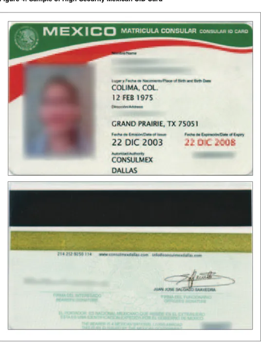 Figure 4: Sample of High-Security Mexican CID Card 