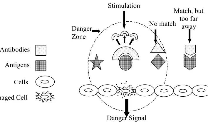 Figure 1: Danger Theory Model. 