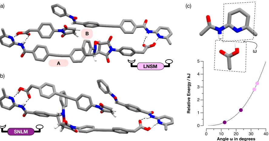 Figure 4 Stick representations of the calculated structures of the transition states accessed by (a) [LN•SM•LNSM] and (b) [SN•LM•SNLM] leading to the corresponding template duplexes