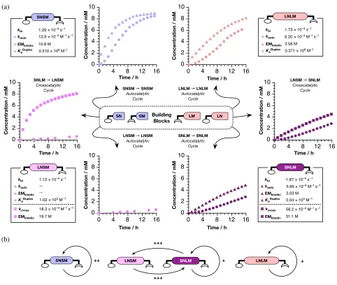 Figure 3 (a) Summary of kinetic data for individual templates determined by 500 MHz 1H NMR spectroscopy (273 K, CDCl3, 10 mM starting concentrations of reagents)