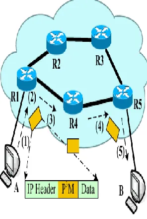 Figure 3. P3M scheme 