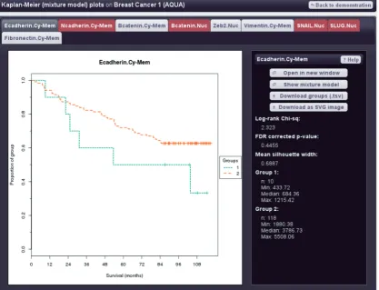 Figure 2. Survival analysis with E-cadherin expression informed by mixture modelling. Kaplan–Meier plot: x-axis denotes overall survival in months,y-axis the proportion of the group alive