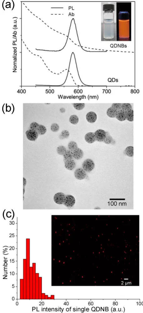 Table 1. Influence of polymer and QD concentration on the properties of QDNBs. 