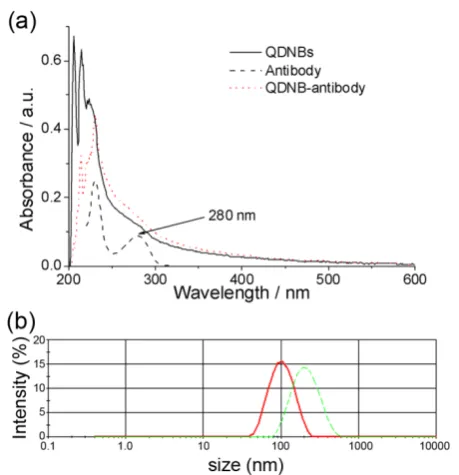 Figure 2.  Typical TEM images (a-d respectively corresponding to QDNB 1-4) and DLS size plots (d Line red: QDNB1; green: QDNB2, blue: QDNB3; black: QDNB4) of QDNB prepared under different conditions