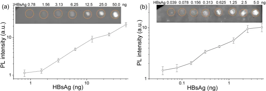 Figure 4.  a function of the level of HBsAg proteins detected with QDs and QDNBs as labels