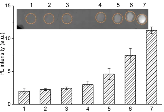 Figure 5.  Dot-blot immunoassay for fluorescent detection of HBsAg in 1% human serum and the control samples