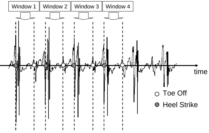 Figure 1(b) 