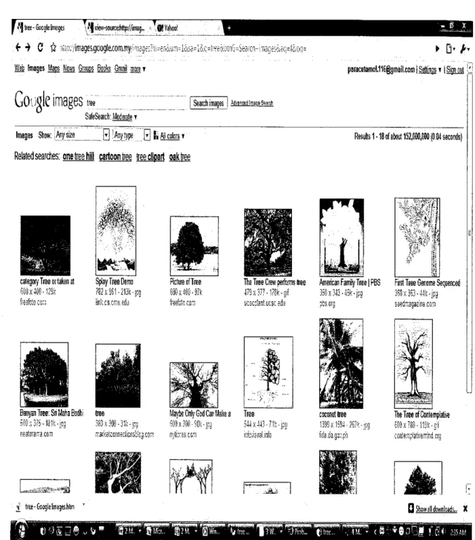 Figure 1-3: Screenshot of Google Image Search Engine that using Textual Image