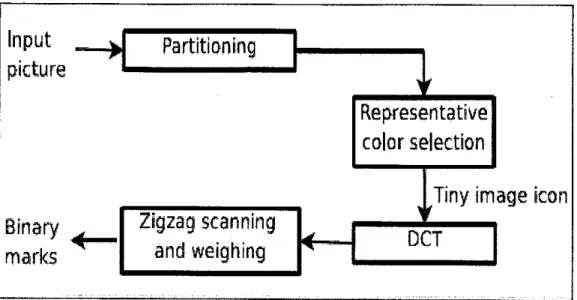 Figure 1-6: The extraction process of CLD.