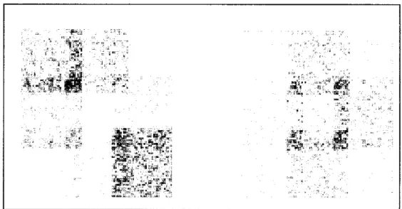 Figure 1-8: Fabric images with similar texture.