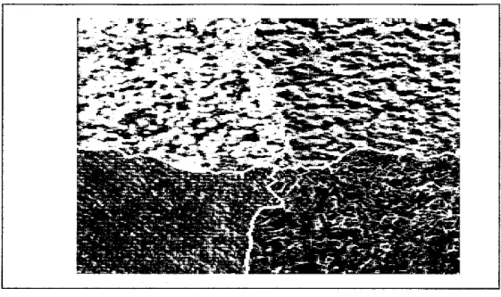 Figure 1-9: Example of multi texture.
