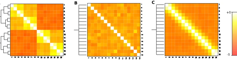 Figure 1: Heatmap of allele frequencies correlation between all simulated 16 populations