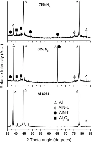Figure 3. XRD patterns for untreated and plasma nitrided samples. 