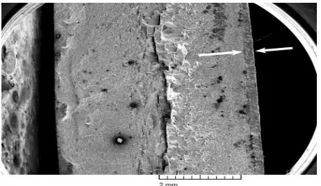 Fig 4.1 Secondary cracks at the mid-plane 