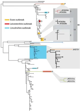 Figure 2.Detailed epidemiology of three S. equi outbreaks in the United Kingdom. Isolates highlightedon the phylogeny were collected from three stables experiencing strangles outbreaks, as indicated by thekey