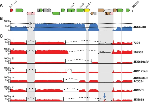Figure 4. right of the plots indicate isolates exhibiting the same deletion. Isolate names in boldare the examples used for the mapping plot