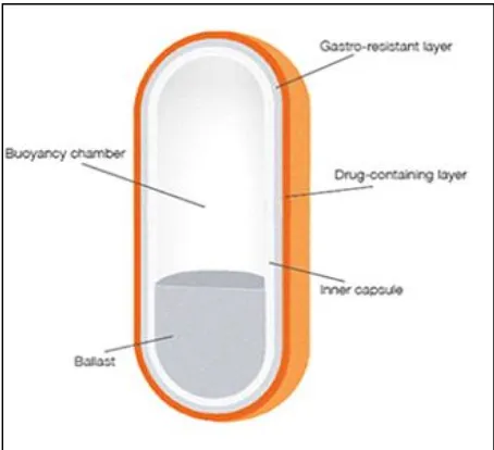 Figure 1: Soctec™ Gastro-Retentive Elongated Capsule 