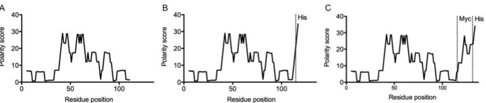 Figure 1 : Zimmerman – polarity score plot for the various 2Rs15d nanobody formats. (A) untagged 2Rs15d; (B) His-tagged 2Rs15d and (C) Myc-His-tagged 2Rs15d