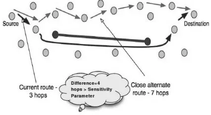 Figure 5 Detection of Wormhole 