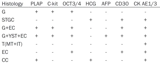 Table 3. Expression of immunohischemical markers in 34 CNS GCTs