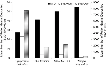 Fig. 1. SVD values for visitors to Agrimonia eupatoria scaled up to the “per hour” and “per day” level using visitation frequency data