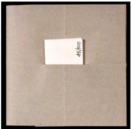 Figure 4: The Exquisite Fold (view of interior, extended), Carson & Miller, 2007120 x 17 cm, inkjet printed on 125gsm cartridge paper, bound with a paper strap and held in a hand-folded paper cover (audio CD not seen), published in an edition of 100, photograph: Tony Richards