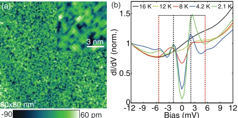 FIG. 1. (Color online) (a) Atomically resolved topography of