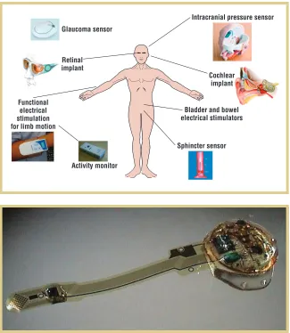 Figure 1. Schematic of the final Healthy 