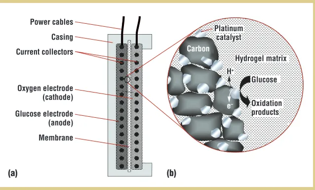Figure 7. Schematic diagrams of a 