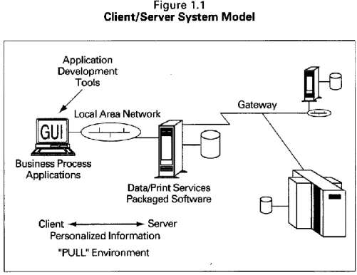 Figure 1.1 below illustrates both the open nature—full server platform  transparency—and the client-controlled aspects of the client/server model