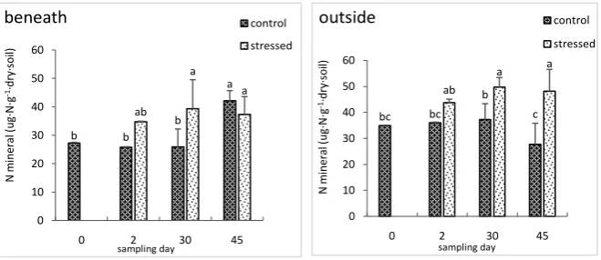 Figure 1. Effect of the DRW cycles on available N from soil collected beneath and outside of shrub influence (n = 4)