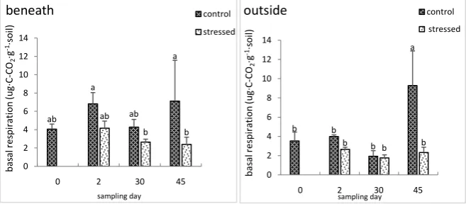 Figure 2. Effect of DRW cycles on basal respiration from soil collected beneath and out-side of shrub influence (n = 4)