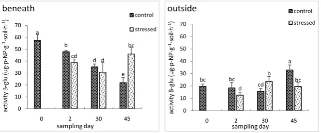 Figure 3. Effect of DRW cycles on microbial biomass carbon from soil collected beneath and outside shrub influence (n = 4)