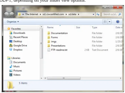 Figure OL9-1: Internet Explorer FTP client in Windows Explorer 