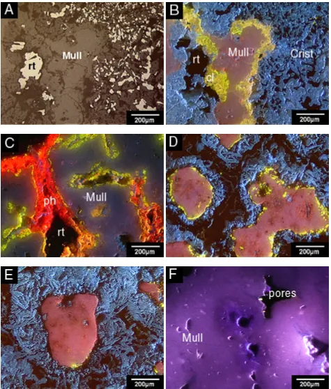 Figure 5. Titanium chlorinating plant mullite brick corrosion reflected light (A) and  cathodoluminescence (B, C, D, E, and F) photomicrographs