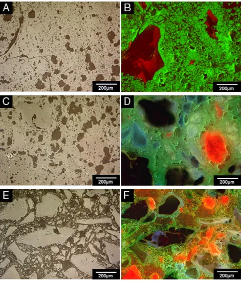 Figure 6. Spinel forming high alumina castable refractory after service reflected light (A, C, and E) and cathodoluminescence (B, D, and E) photomicrographs show maturation of spinel ceramic bond