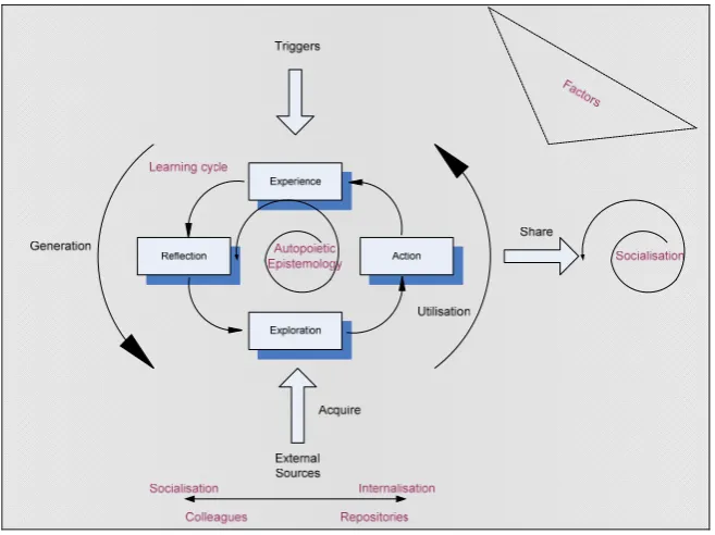 Figure 3: Tacit knowledge generation and utilisation process 