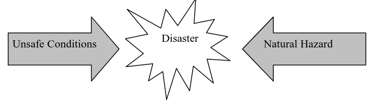 Figure 2: Components of a disaster 