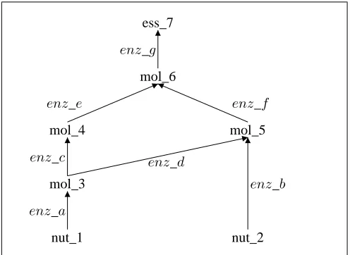 Fig. 1.A Highly Simpliﬁed Metabolic Network