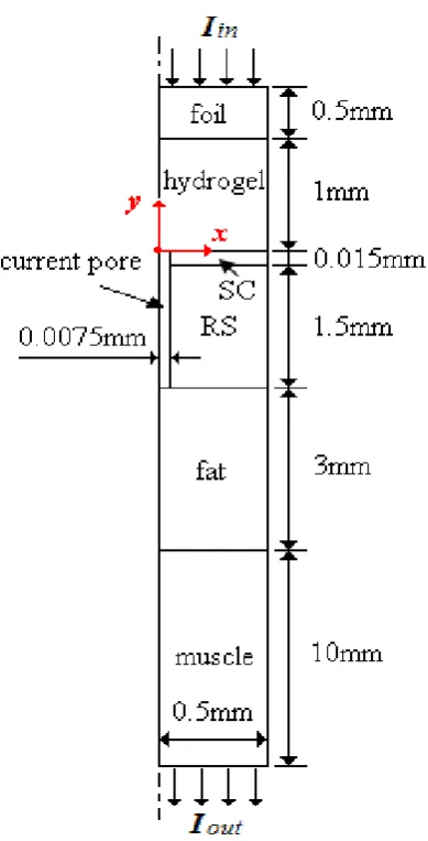 Figure 1: Schematic of the FE model axi-symmetric around y axis, 