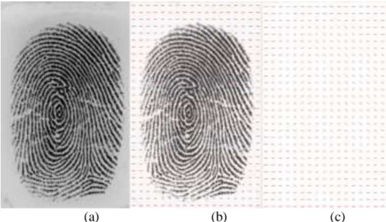 Fig. 5. Orientation Field at the core point (a) Core Point (b) Loop Formed  by the orientation field