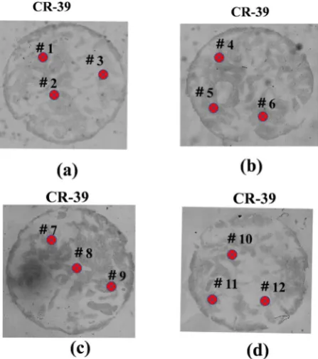 Figure 3. Comparison of α-ray/recoiled Li particle track distribution in low magnifica-tissue; NHDF3D/BxPC3 (1 - 3)