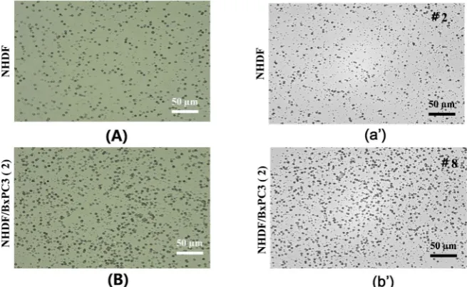 Figure 5. Comparison of α-ray/recoiled Li particle tracks distribution in NHDF3D and 
