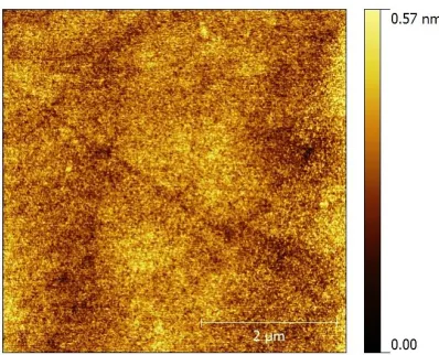 Figure 4.9. AFM images of 5 μm × 5 μm area of C10-vinyl 1a SAM, RMS 53 pm.