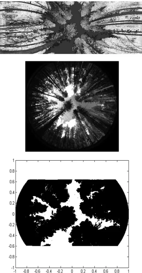 Fig. 2.TLS data of forest stand. (Top) Intensity of returns in a cylindricalprojection (scan range 180◦ × 80◦)